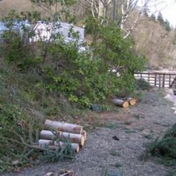 High Bluff before renovation