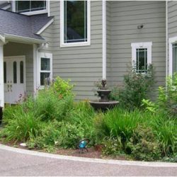 New landscape disguises the biofiltration area at the front entrance.