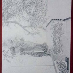 Pencil sketch of a house entrance with trees and plants, labeled “Bergstrom Residence New Entrance Path.”.