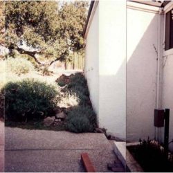 Side yard with concrete path, garden bed, and white exterior wall partially in sunlight and shade.