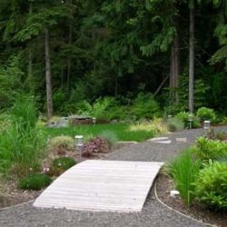 First bridge covers bio-filtration access.
