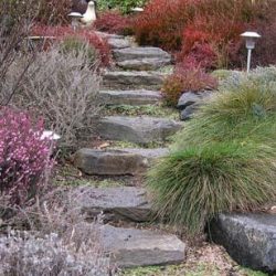 Steps to hillside gazebo in winter.