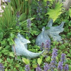 Fish outside the pond.