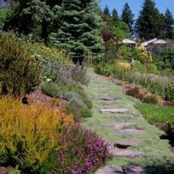Path to 9/11 memorial garden in summer.