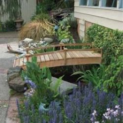 Bridge over the pond provides hiding spot for fish.