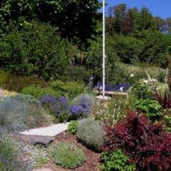 9/11 Memorial garden.