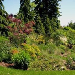 Perennials disguise the hillside bio-filtration area.