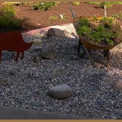 New entrance walk and plantings say ‘Welcome.’