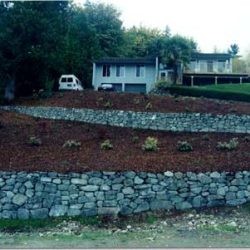 A house sits on a hill with terraced stone retaining walls and young plants in landscaped beds.
