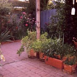 New brick patio and containers of vegetables.