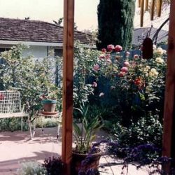 From the shade of the arbor, the garden invites.