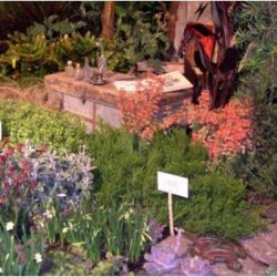 A variety of garden plants and shrubs are labeled with white signs, near a wooden chest and open book outdoors.