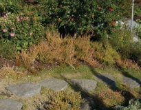 08